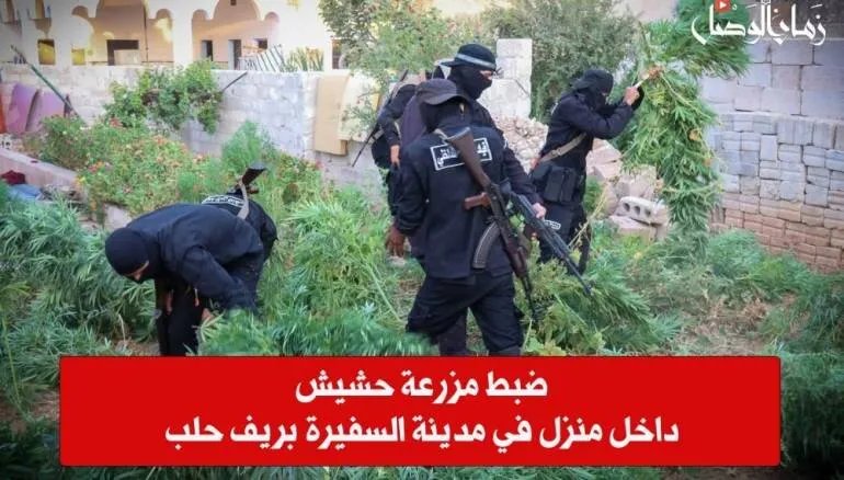 مداهمة في السفيرة: ضبط مزرعة حشيش منزلية واعتقال المتورط