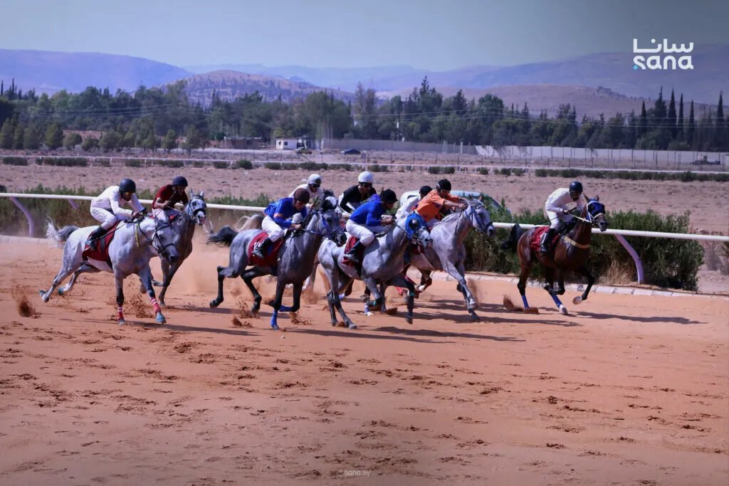 منافسة حماسية: اختتام سباق السرعة السادس للخيول العربية الأصيلة في ريف دمشق