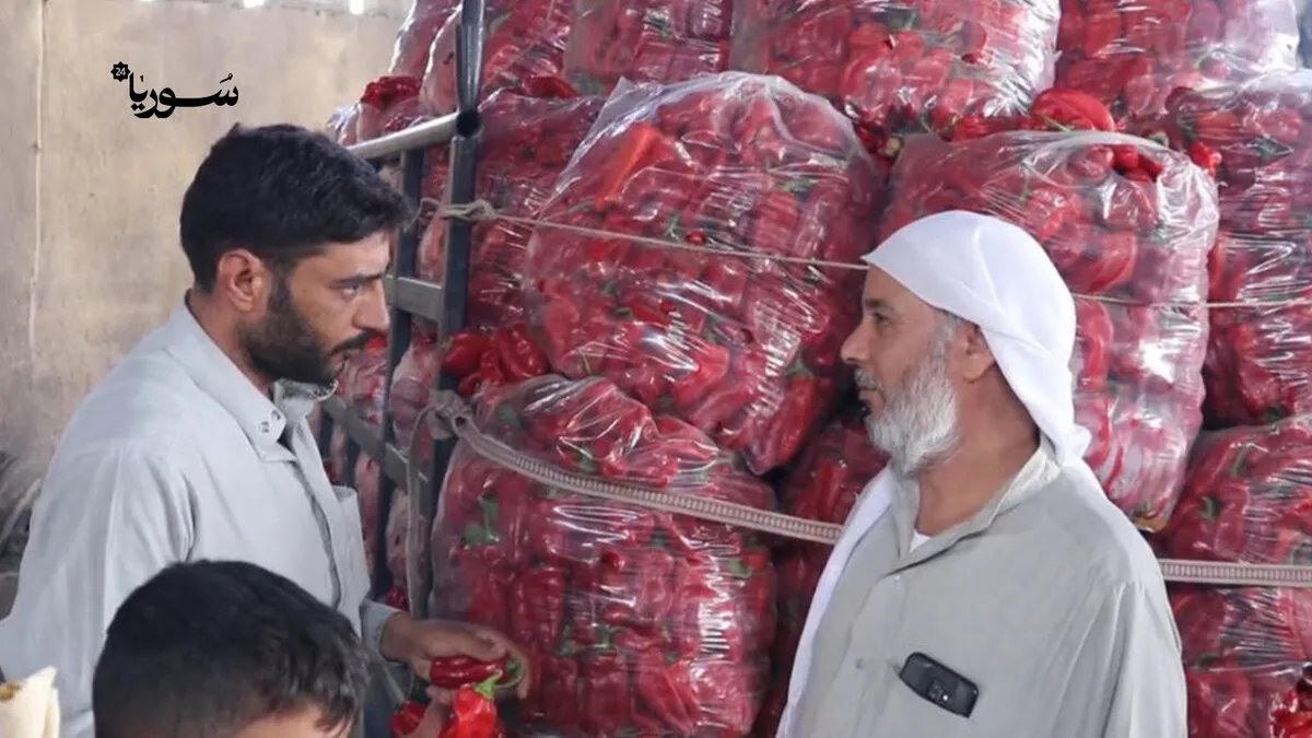 من الرقة إلى الأسواق: شاب يحول إنتاج المؤن الشتوية إلى مشروع ريادي يوفر فرص عمل