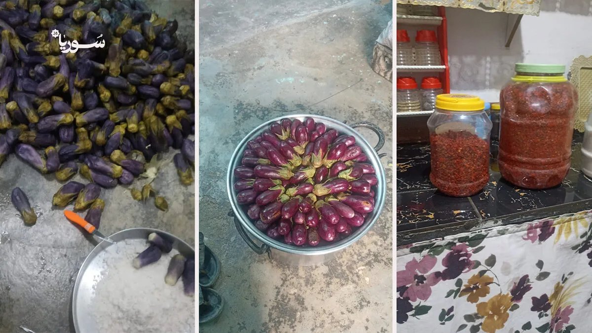 أزمة غلاء المعيشة في إدلب تُعيق تحضير المونة الشتوية: المكدوس والمخللات تتقلص على موائد الأسر