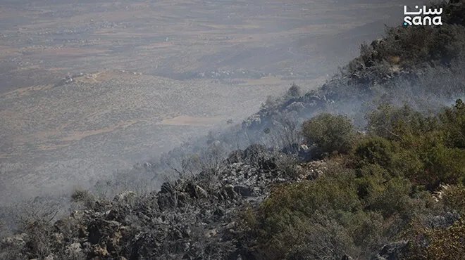 السيطرة على حرائق ريف اللاذقية وحماة بجهود الدفاع المدني والأهالي