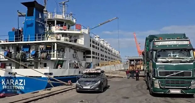 طرطوس تُصدّر أكثر من 61 ألف رأس من الأغنام والماعز إلى السعودية: دفعة قوية للاقتصاد المحلي