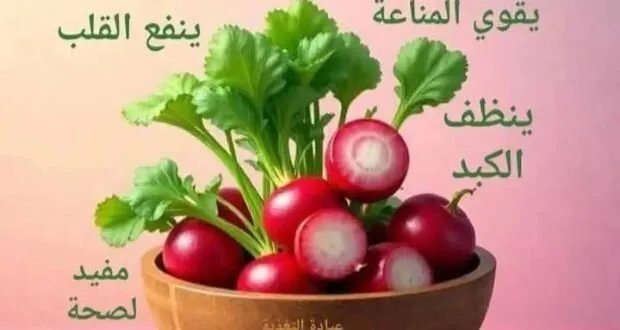 اكتشف الفوائد الصحية المذهلة للفجل الأحمر: حماية وعلاج طبيعي