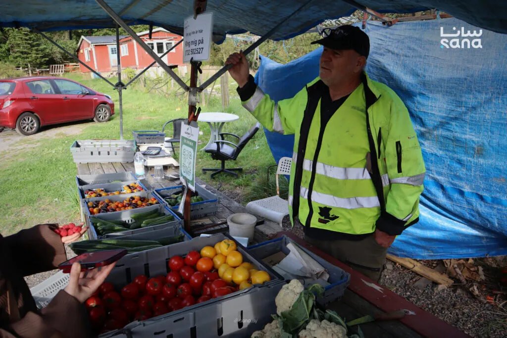 من سوريا إلى السويد: قصص ملهمة لمزارعين يحولون التحديات إلى نجاح في أرض جديدة