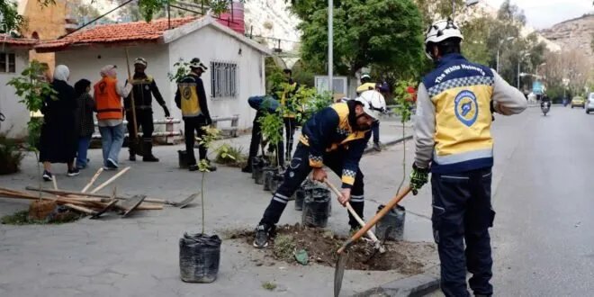 الدفاع المدني يطلق حملة واسعة لتشجير دمشق لتعويض خسائر الغطاء النباتي