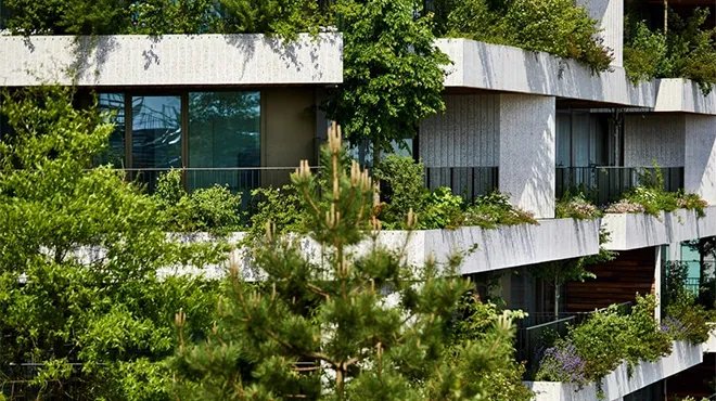 هولندا تفتتح "غابة وندروودز العمودية": مشروع رائد لتعزيز الاستدامة الحضرية