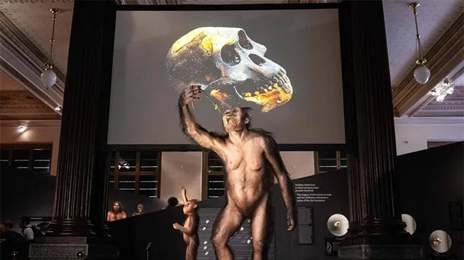 هيكل "لوسي" العظمي الشهير يصل إلى المتحف الوطني في براغ للعرض