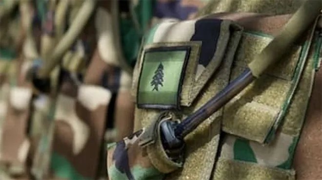 لبنان يتسلم أسلحة فلسطينية من مخيمات صور في خطوة لتعزيز السيادة