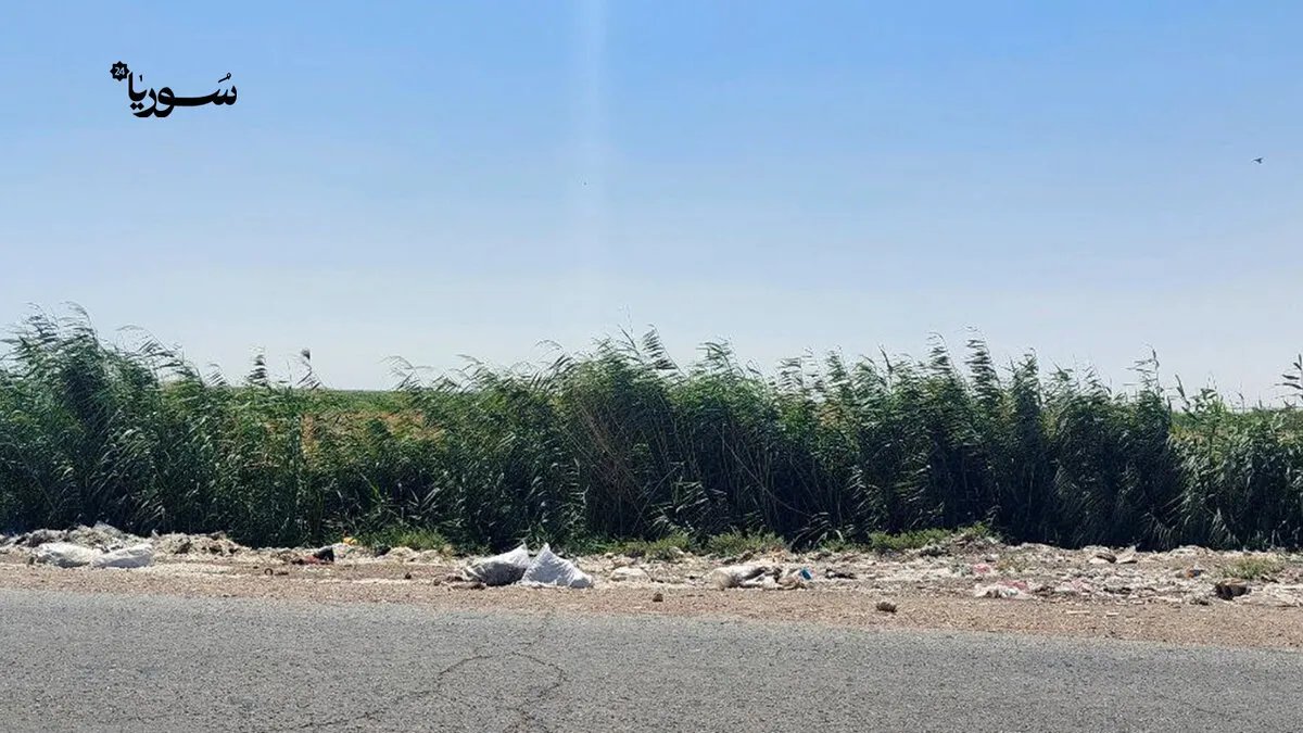 أهالي قرية الحج العلي بالرقة يشتكون من الروائح الكريهة بسبب مكب نفايات عشوائي