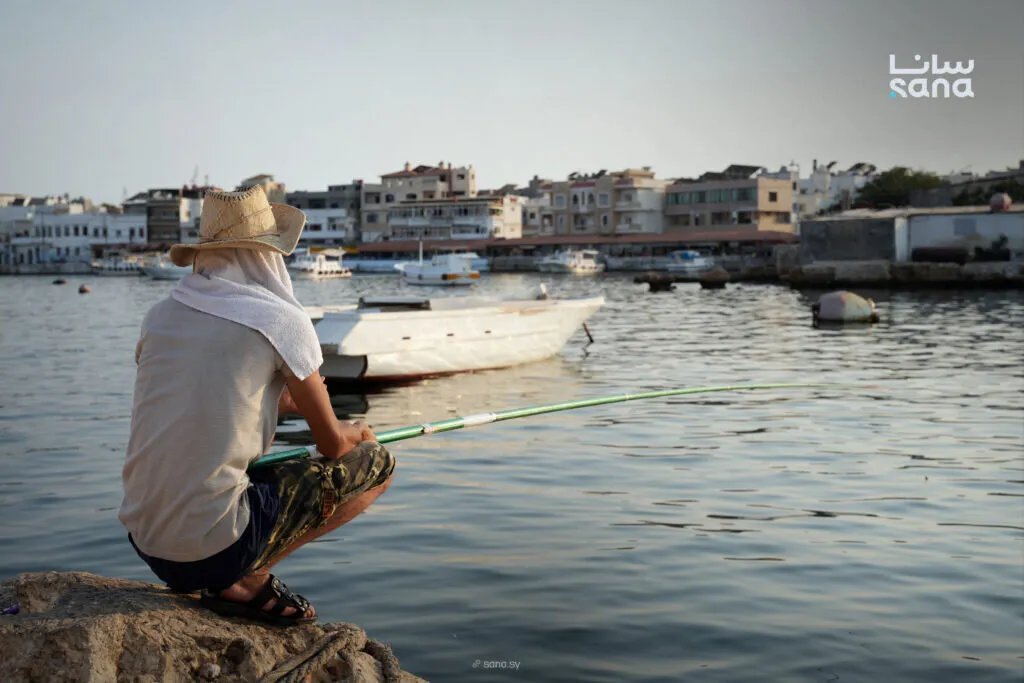 أرواد السورية: صيد الأسماك.. مهنة أجيال ومصدر الرزق الأوحد