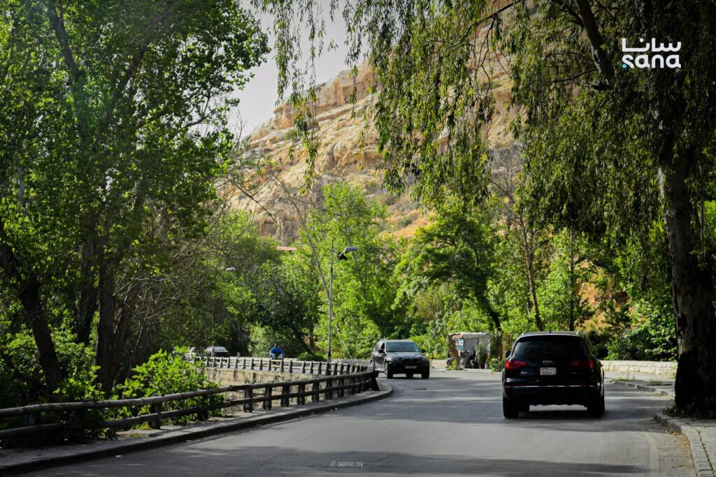 طقس معتدل مع احتمال زخات مطر على السواحل وارتفاع طفيف في درجات الحرارة