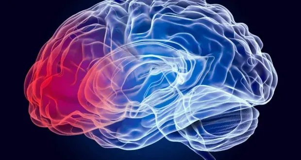 دراسة تكشف: تغييرات بسيطة في نمط الحياة تقلل خطر الإصابة بمرض باركنسون بنسبة 40%