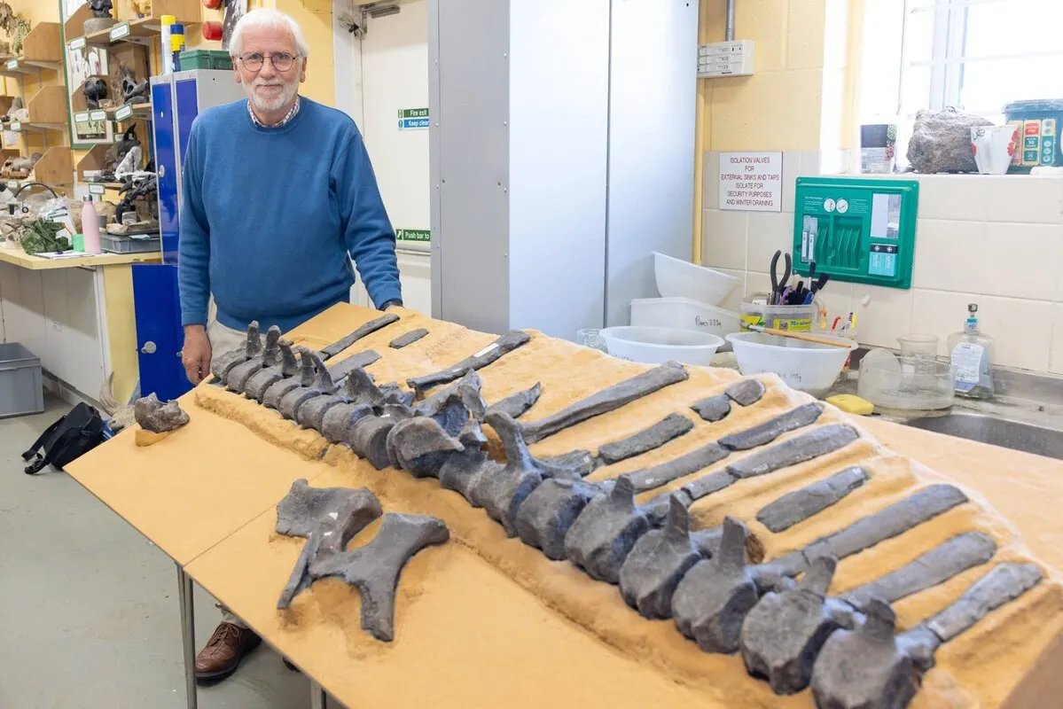 اكتشاف نوع جديد من الديناصورات ذي الظهر الشراعي في جزيرة وايت