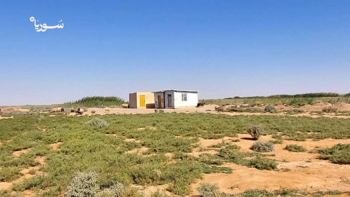 أزمة تعليمية في الرقة: أهالي قرية رويان يطالبون بمدرسة لإنهاء معاناة أبنائهم