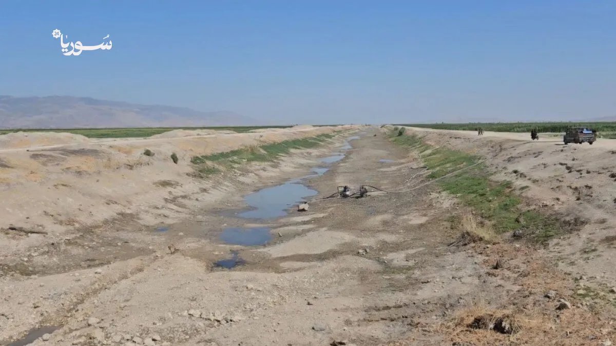 الجفاف يضرب سهل الغاب: موسم الصيد ينتهي مبكراً ويهدد سبل عيش الصيادين