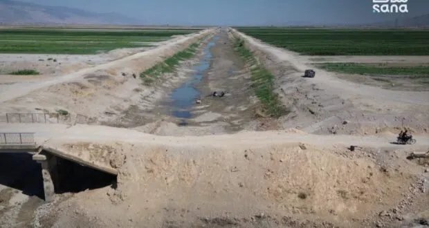 نهر العاصي يواجه جفافاً تاريخياً في الغاب يهدد الزراعة والثروة السمكية