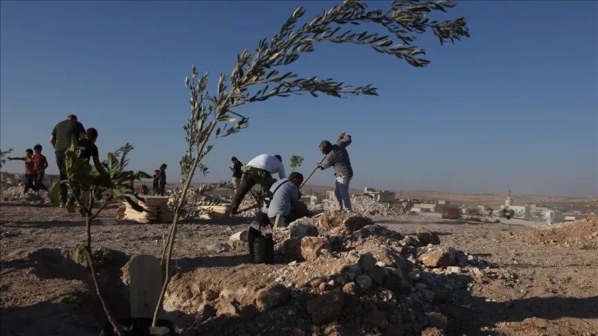 إدلب: سوريون يحيون ذكرى المختفين قسرياً بزراعة 500 شجرة تين