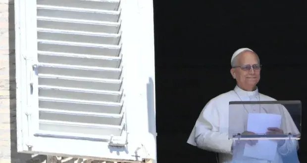 البابا يدعو إلى كبح "وباء الأسلحة" ويأسف لسقوط الأطفال في النزاعات