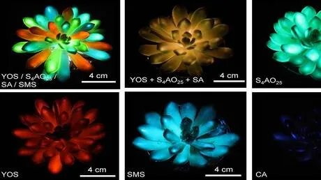 طفرة علمية: علماء صينيون يطورون نباتات مضيئة باستخدام تكنولوجيا النانو