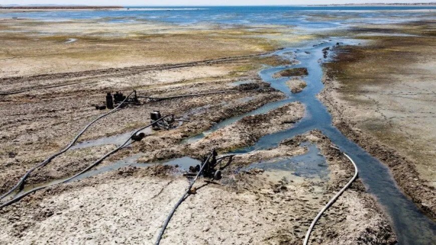 أزمة المياه في سوريا: مسؤول يكشف عن خطط لمواجهة التحديات المتزايدة