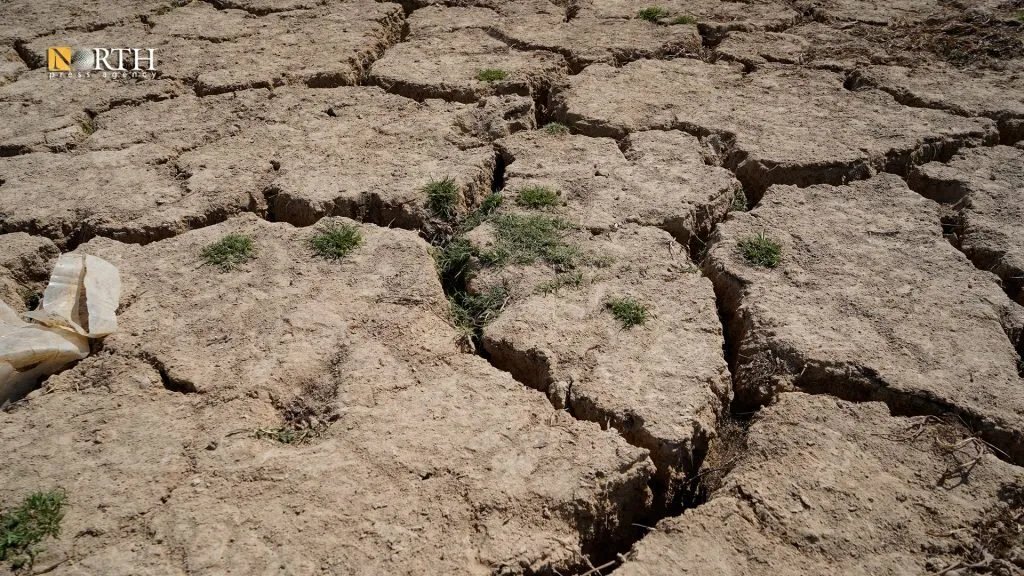 جفاف الفرات يهدد أراضي الطبقة: مزارعون يكافحون لإنقاذ محاصيلهم