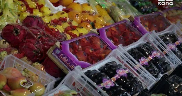 معرض دمشق الدولي الـ62: نافذة جديدة لدعم وتطوير القطاع الزراعي السوري