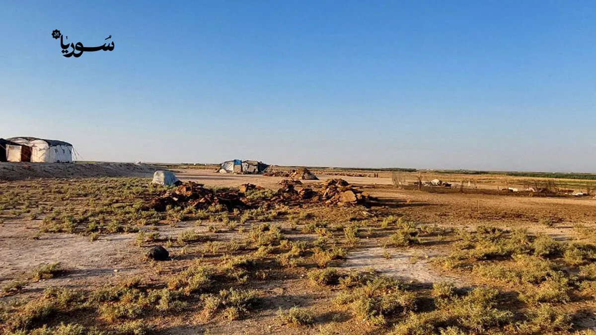 أزمة المازوت تدفع سكان ريف الرقة للعودة إلى طرق التدفئة التقليدية بجمع مخلفات المواشي