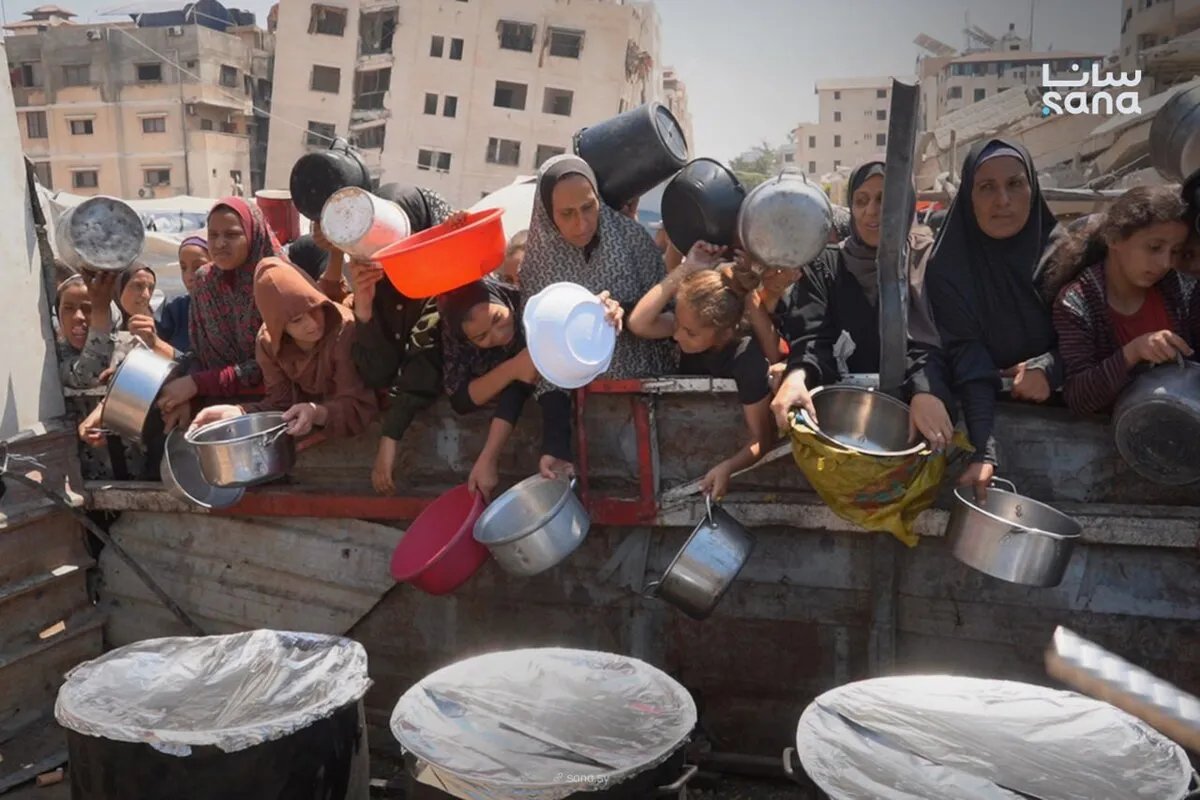 وزير الخارجية الألماني يصف الوضع في غزة بـ"المأساوي" ويدعو إلى حل للقضية الفلسطينية