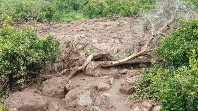 فاجعة في دارفور: مصرع أكثر من ألف شخص في انهيار أرضي بقرية ترسين