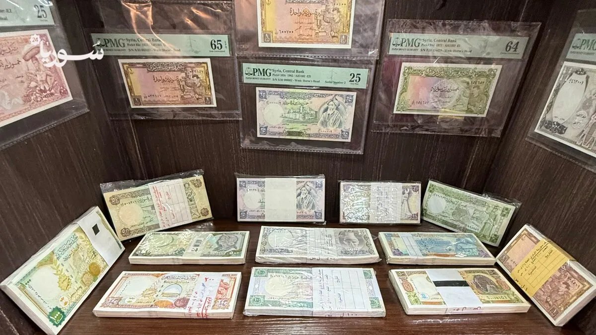 كنوز من التاريخ: نور الشوّا يروي حكاية الحضارة السورية من خلال العملات في معرض دمشق الدولي