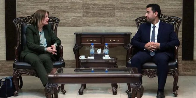 وزير الصحة السوري يبحث مع السفارة السويدية دعم القطاع الصحي وتطوير المنشآت الطبية