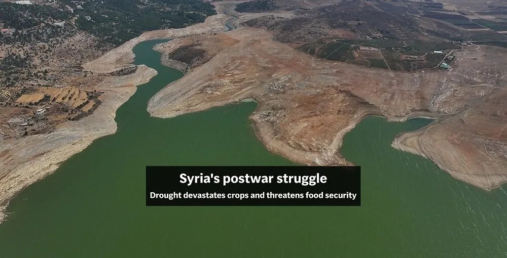 سوريا تواجه أسوأ موجة جفاف منذ عقود تهدد الأمن الغذائي وتزيد الاعتماد على الاستيراد