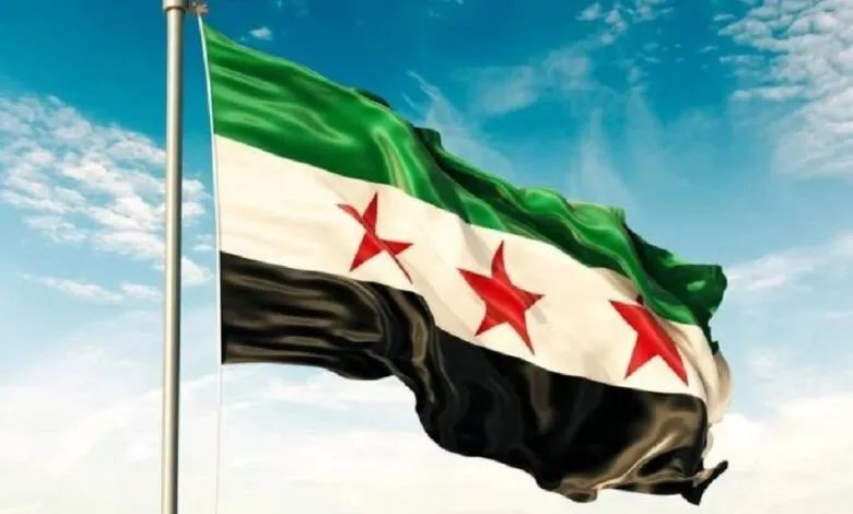 اكتشاف نوع جديد من السلاحف البحرية المتحجرة في سوريا يعود إلى 50 مليون سنة