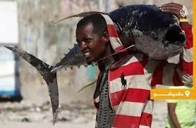 مقديشو: شاطئ ليدو وسوق السمك.. قصة ارتباط الصوماليين بالبحر رزقًا وثقافة