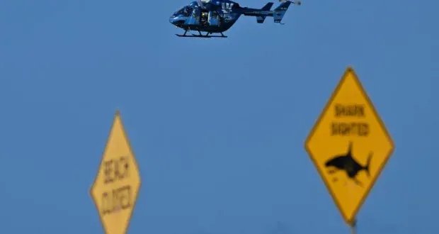 سيدني في حالة تأهب: هجوم قرش قاتل يدفع السلطات إلى تكثيف المراقبة الجوية للشواطئ