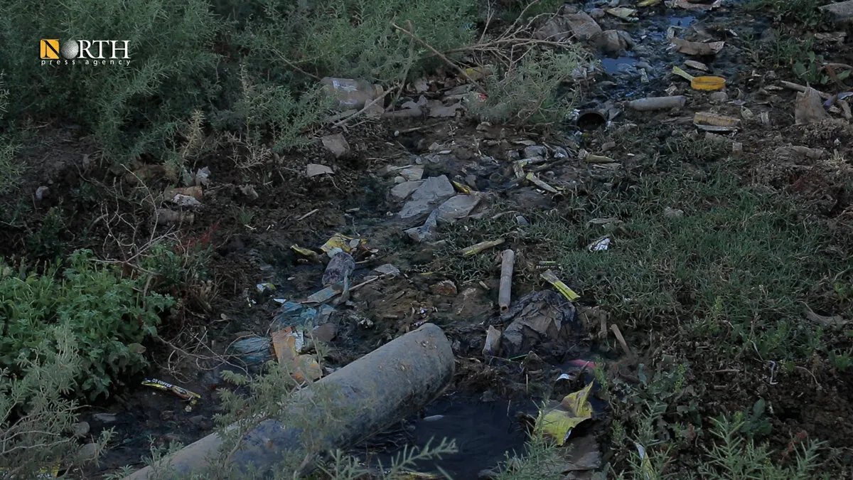 تلوث مياه الآبار يفاقم معاناة سكان القرى الجنوبية في القامشلي ويُهدد صحتهم