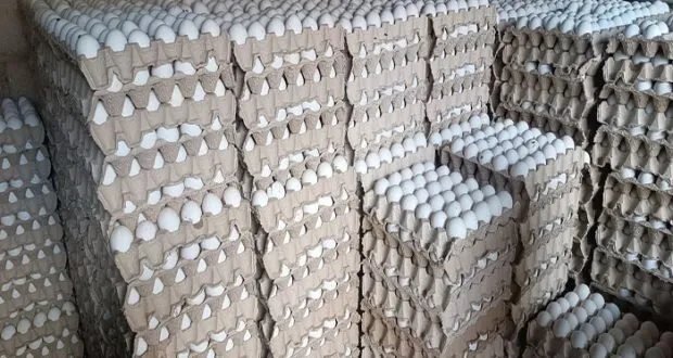 ارتفاع جنوني في أسعار البيض في الأسواق السورية: صحن البيض يصل إلى 43 ألف ليرة والمخاوف تتزايد من ارتفاع أسعار الفروج