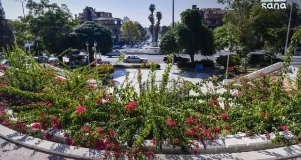 طقس معتدل في سوريا مع فرصة لأمطار خفيفة على السواحل