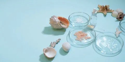 الكولاجين البحري أم النباتي: أي الخيارين يمنح بشرتك شبابًا دائمًا؟