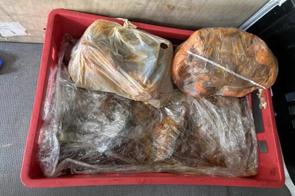 ألمانيا: سائق مخمور ينقل لحومًا فاسدة على طريق سريع في هاناو