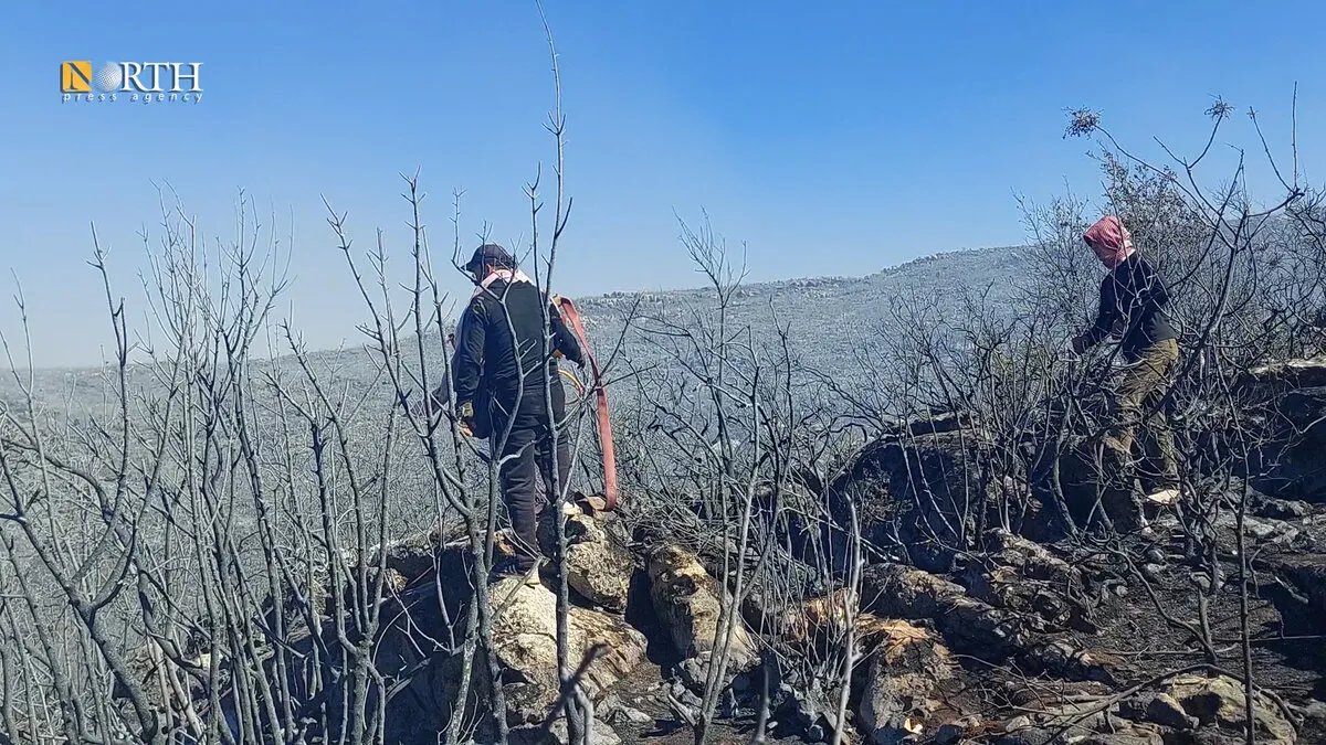 حرائق ريف حماة وسهل الغاب تدمر سبل عيش مئات العائلات وتفاقم الأزمة المعيشية