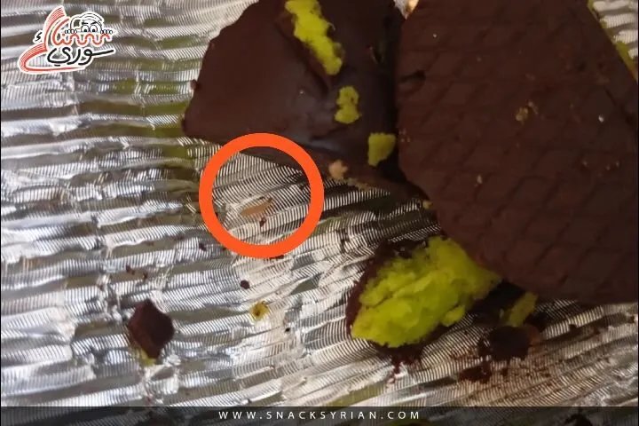 صدمة في قطعة شوكولا شهيرة: اكتشاف دودة يثير مخاوف المستهلكين