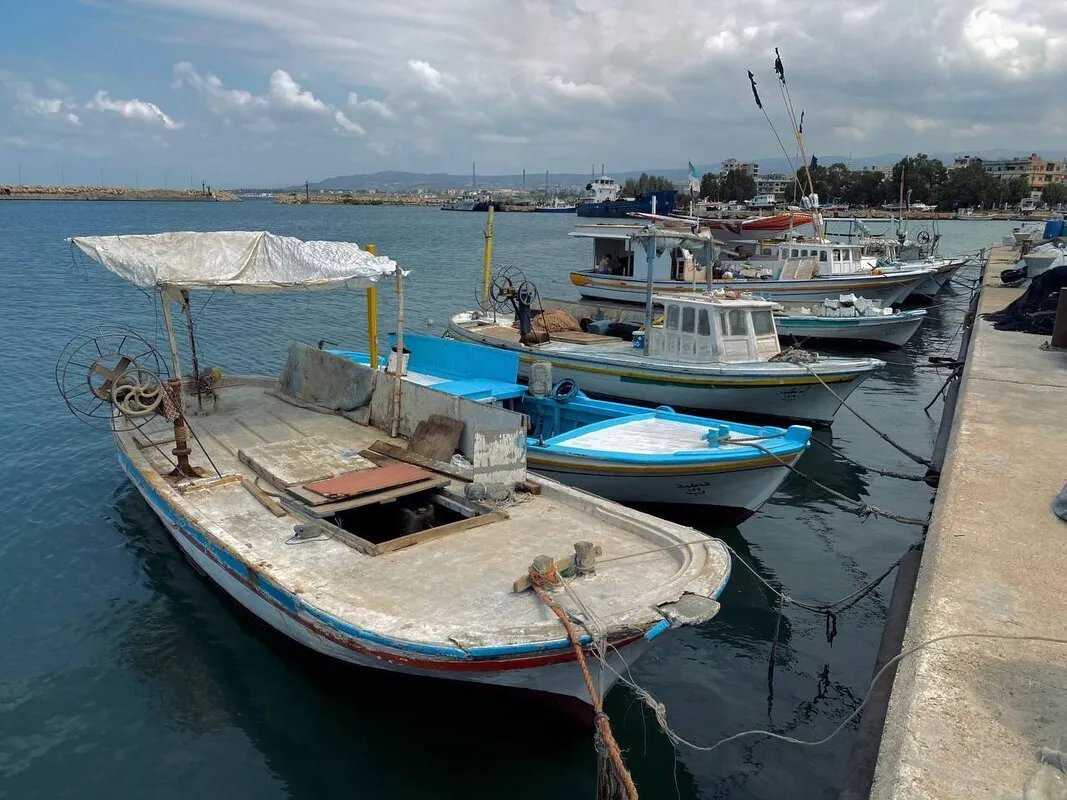 طرطوس: صيادو السمك يصارعون الغلاء وتناقص المخزون السمكي