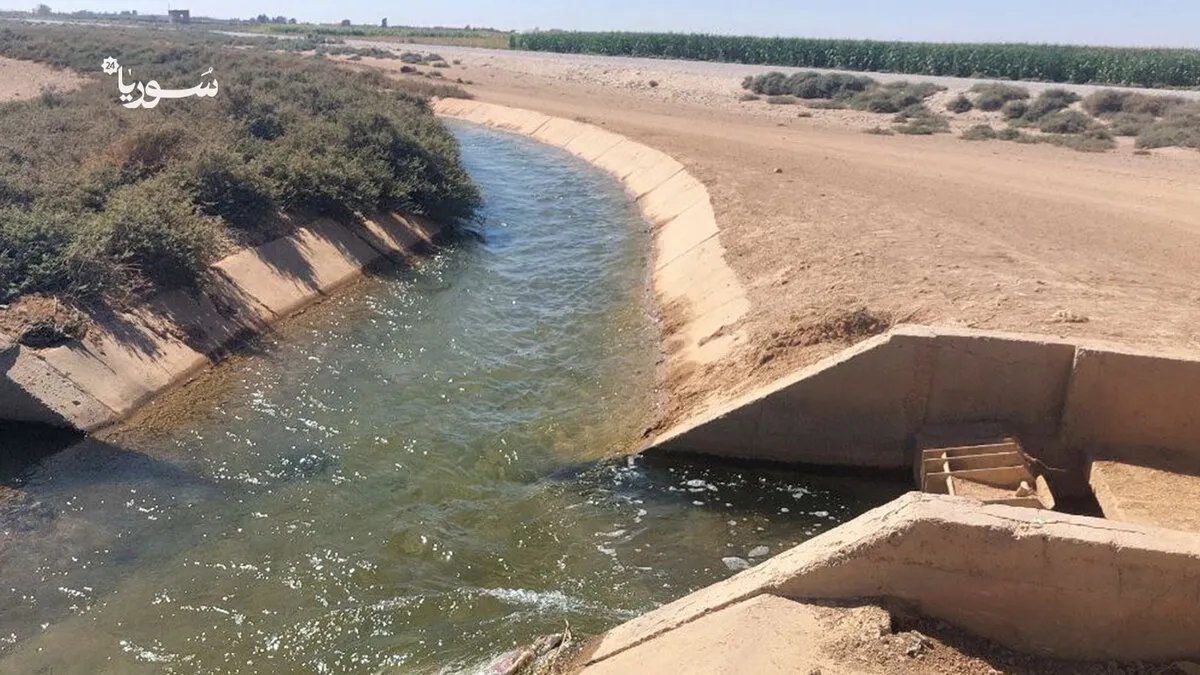 تقنين مياه الري في الرقة يثير غضب المزارعين ويهدد محاصيلهم الصيفية