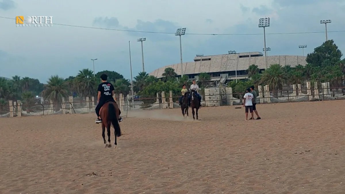 مرض اليرقان يهدد خيول نادي الفروسية في اللاذقية بالنفوق ومربّون يطالبون بالحلول