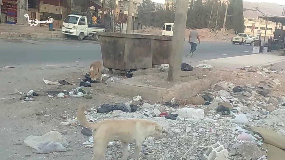 تجمع الكسوة الشرقي: إهمال مزمن ومعاناة مستمرة رغم مرور عقود على النزوح