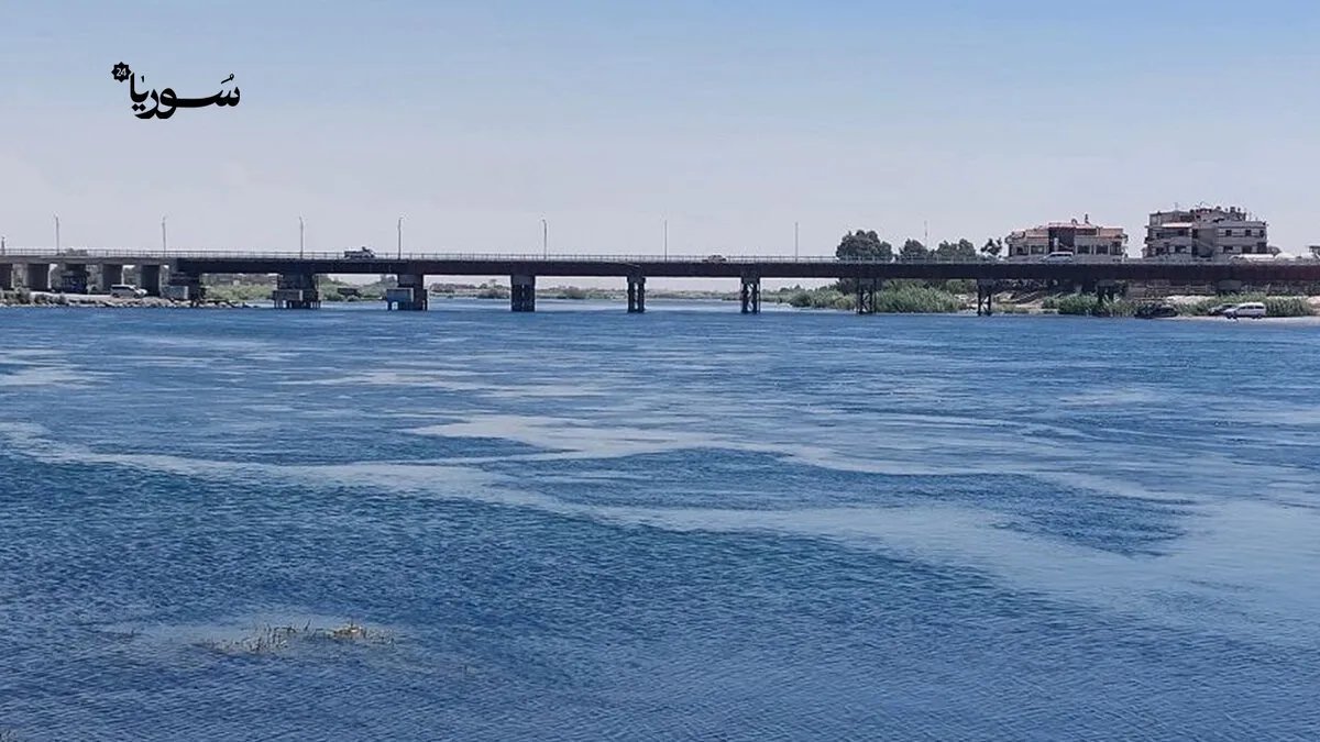 تدهور الثروة السمكية في الرقة: الصيد الجائر في الفرات ينذر بكارثة بيئية واقتصادية