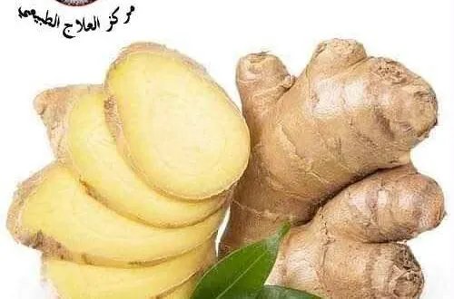 الزنجبيل: كنز من الفوائد الصحية والعلاجية