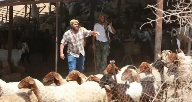 الأغوار الفلسطينية: صراع مرير على الأرض والمياه في مواجهة التوسع الاستيطاني