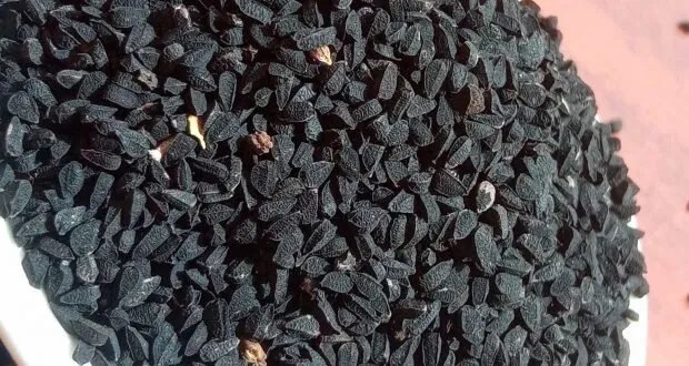 اكتشف قوة حبة البركة: علاج طبيعي لأمراض متعددة وفوائد صحية مذهلة